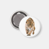 Walking Jaguar Eyes Magneet (Voorkant / Achterkant)