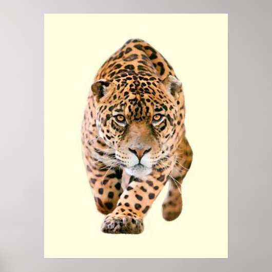 Walking Jaguar Eyes Poster (Voorkant)