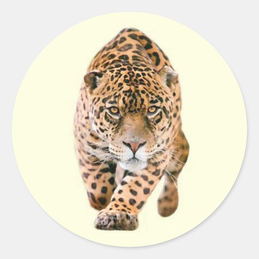 Walking Jaguar Eyes Ronde Sticker (Voorkant)