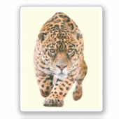 Walking Jaguar Eyes Sticker (Voorkant)