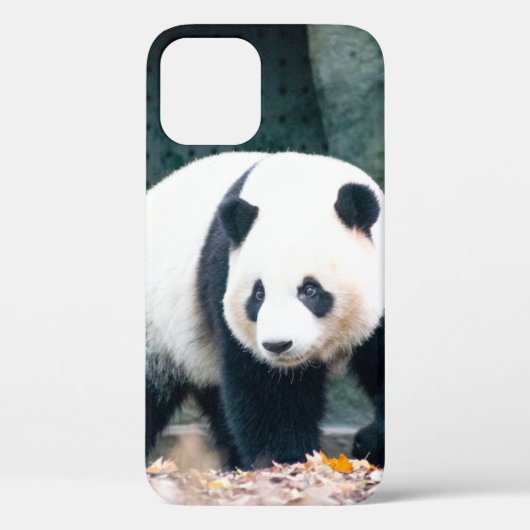 WALKING PANDA VOOR CONCRETE BOUW Case-Mate iPhone CASE (Achterkant)