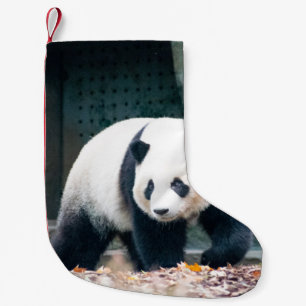 WALKING PANDA VOOR CONCRETE BOUW KLEINE KERSTSOK