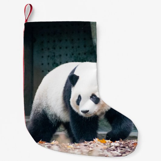 WALKING PANDA VOOR CONCRETE BOUW KLEINE KERSTSOK (Voorkant)