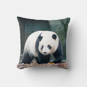 WALKING PANDA VOOR CONCRETE BOUW KUSSEN