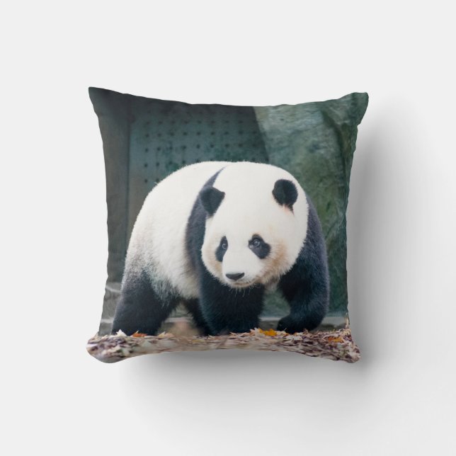 WALKING PANDA VOOR CONCRETE BOUW KUSSEN (Voorkant)