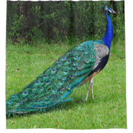Walking Peacock Douchegordijn