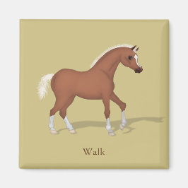 Walking Sorrel Foal Gaits of the Horse Magneet