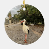 Walking Stork Ornament (Achterkant)