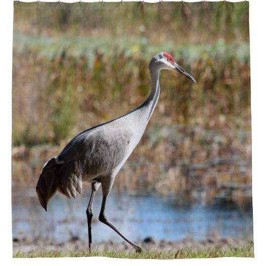 Walking Tall, Sandhill Crane Douchegordijn (Voorkant)