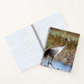 Walking Tall - Sandhill Crane Notitieboek (Binnen)