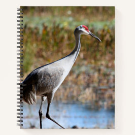 Walking Tall - Sandhill Crane Notitieboek