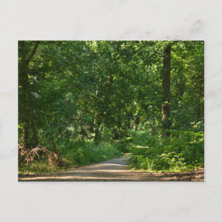 Walking through the trees briefkaart