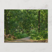 Walking through the trees briefkaart (Voorkant)