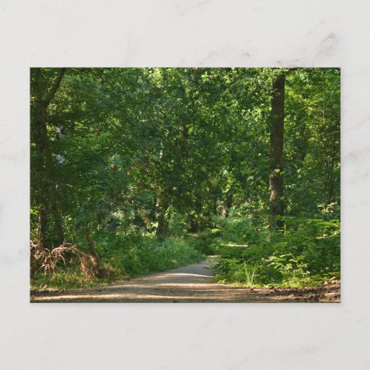 Walking through the trees briefkaart (Voorkant)