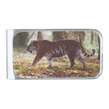 Walking Tiger geld clip