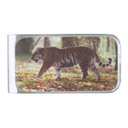 Walking Tiger geld clip Verzilverde Geldclip