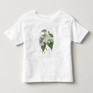 Walkuffa No.5 Dombeya torrida (m/c boven grafiet o Kinder Shirts