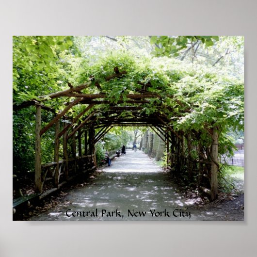 Walkway arbor in Central Park, NYC Poster (Voorkant)