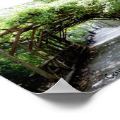 Walkway arbor in Central Park, NYC Poster (Hoek)