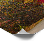 Walkway Bridge naar Alley Mill Poster (Hoek)