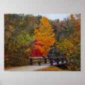 Walkway Bridge naar Alley Mill Poster (Voorkant)