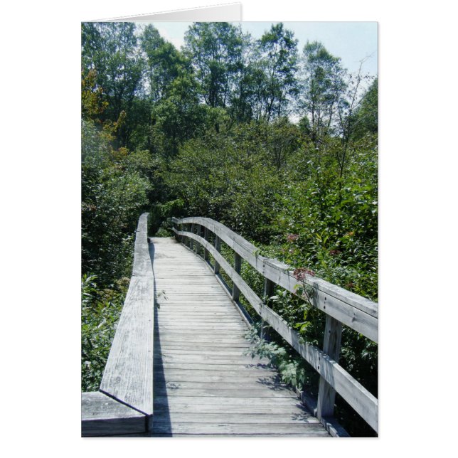 "Walkway, Green Mountain National Forest" (Voorkant)