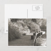 walkway.jpg briefkaart (Voorkant / Achterkant)