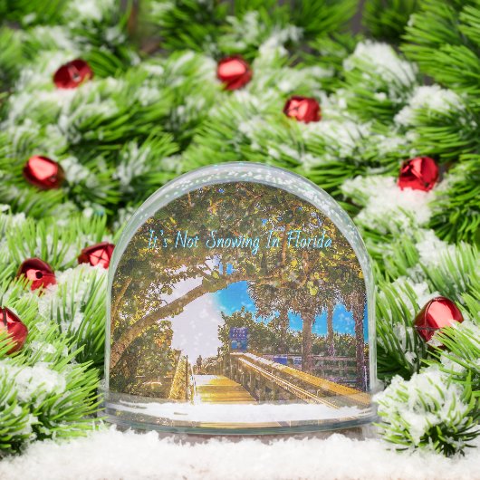 Walkway to the Beach Snow Globe Sneeuwbol (Kerstmis)