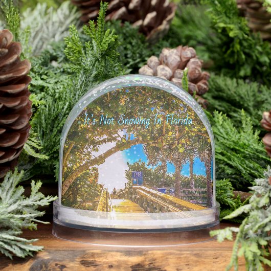 Walkway to the Beach Snow Globe Sneeuwbol (Winter)