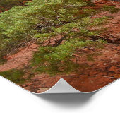Wall Arch, Arches National Park, Utah Poster (Hoek)