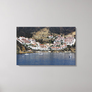 Wall Art Catalina Canvas Afdruk