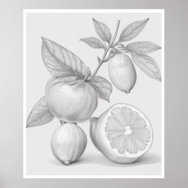 Wall Art citrusboom poster