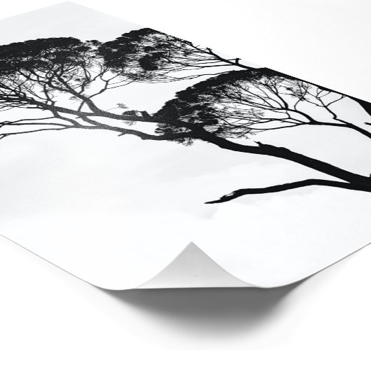 Wall Art Foto Afdruk (Hoek)