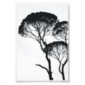 Wall Art Foto Afdruk (Voorkant)