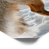 Wall Art Hunting Fox Print Foto Afdruk (Hoek)