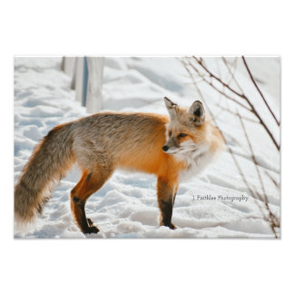 Wall Art Hunting Fox Print Foto Afdruk