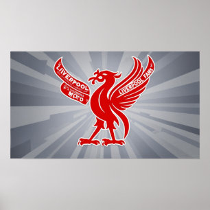Wall Art Liverpool Poster