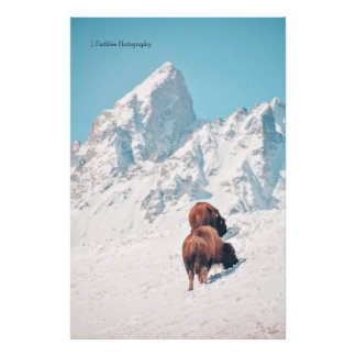 Wall Art Mountain bizon print Foto Afdruk