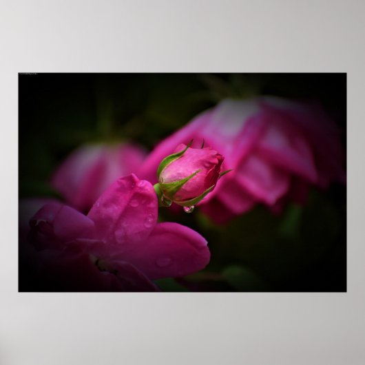 Wall Art Poster (Voorkant)