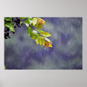 Wall Art Poster (Voorkant)