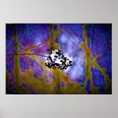 Wall Art Poster (Voorkant)