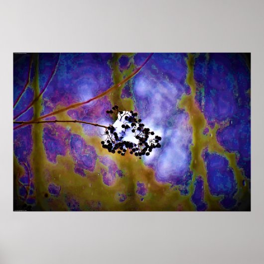 Wall Art Poster (Voorkant)