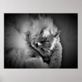 Wall Art Poster (Voorkant)