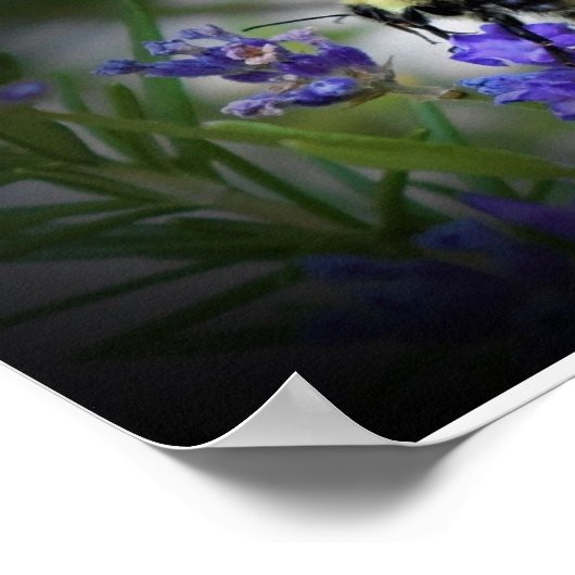 Wall Art Poster (Hoek)