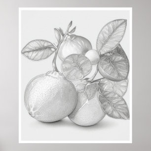Wall Art poster