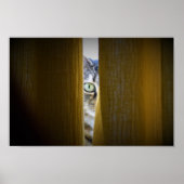 Wall Art Poster (Voorkant)