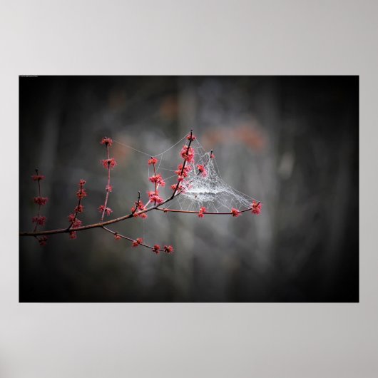 Wall Art Poster (Voorkant)