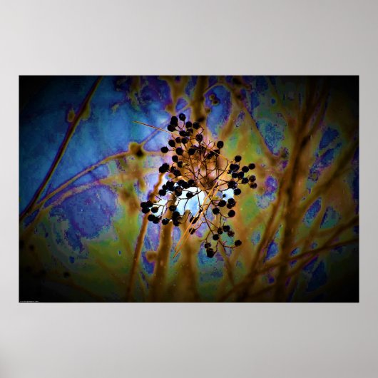 Wall Art Poster (Voorkant)