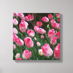 Wall Art roze tulpen Canvas Afdruk