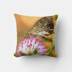 Wall Brown Butterfly Lasiommata megera Painting Kussen